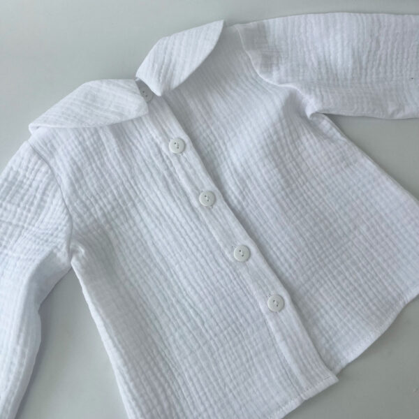 Viverra metus parturient par, Monzi