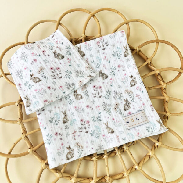 Condentum integer ridiculus, Monzi