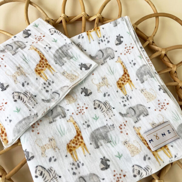 Condentum integer ridiculus, Monzi